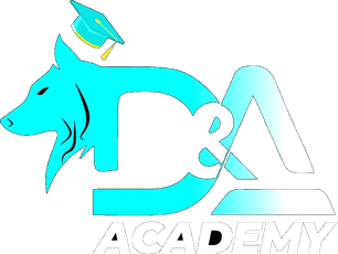 D&A Academy