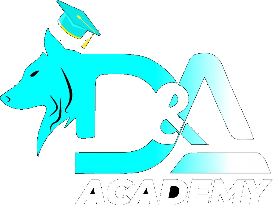 AYD Academy